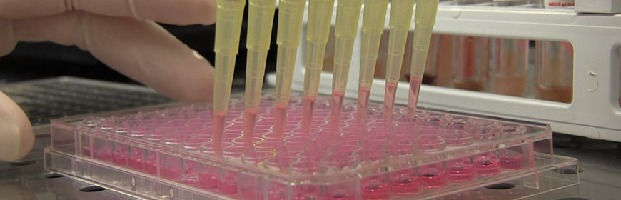 National reference laboratory / FAO reference centre for rabies