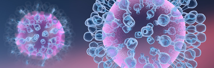 Avian influenza in Europe: updates