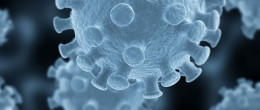 Permalink to: IZSVe veterinary biobank and the OIE collaborating centre for veterinary biological biobank IZSVe veterinary biobank and the OIE collaborating centre for veterinary biological biobank
