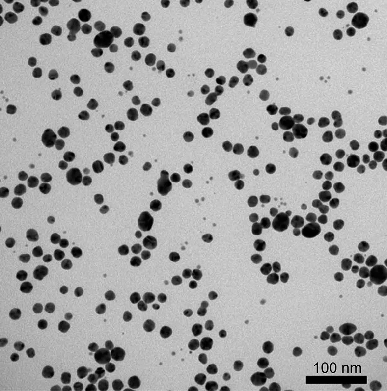 Silver nanoparticles (Losasso et al. 2015)