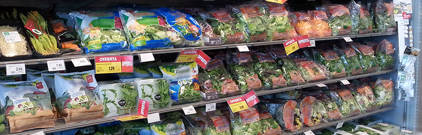Ready-to-eat salad: is it safe for consumption? The effectiveness of the washing methods