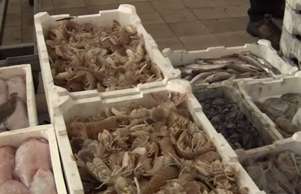 Venice wholesale fish market