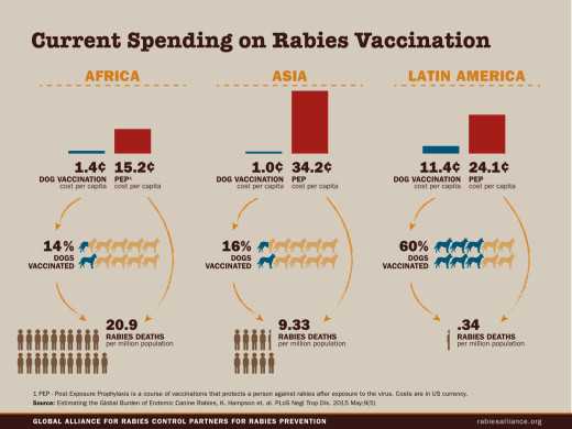 Current spending for rabies vaccination in low-resource countries