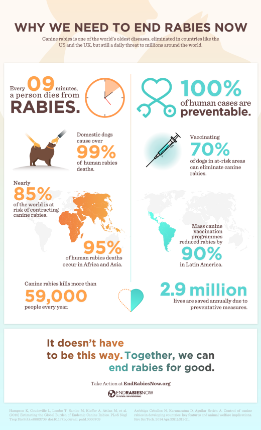 End Rabies Now Campaign Infographic