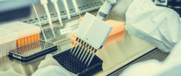 Permalink to: VetBioNet, how to access laboratories and samples of the network VetBioNet, how to access laboratories and samples of the network for the fight animal infectious diseases