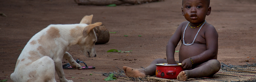 Rabies, the IZSVe supports the veterinary services of Liberia and Burkina Faso