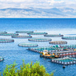 AdriAquaNet project for the strengthening and sustainability of aquaculture in the Adriatic Sea
