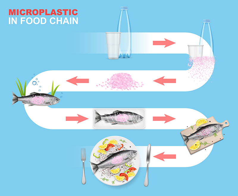 Microplastic in food chain