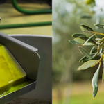 Geographical screening of Italian EVO oil. Development of a non-targeted model to determine whether the area of origin is Italian