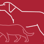 Rabies. Prevention and control measures for companion animals/pets from Ukraine [Leaflet]
