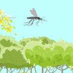 Online course / Mosquitoes, phlebotomine sand flies and ticks monitoring: traps and capture techniques