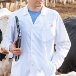 What is veterinary epidemiological surveillance? [Video]