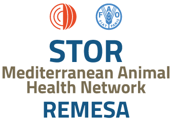 STOR – Scientific & Technical Office of REMESA