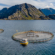 IZSVe included in the European Commission’s list of “Key innovators” thanks to two sustainable aquaculture projects