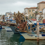 Regional Workshop for WOAH National Focal Points for Aquatic Animals. Chioggia (Italy), 18th-20th October 2023