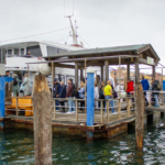 Regional Workshop for WOAH National Focal Points for Aquatic Animals. Chioggia (Italy), 18th-20th October 2023