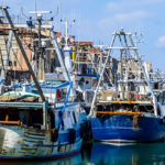 Regional Workshop for WOAH National Focal Points for Aquatic Animals. Chioggia (Italy), 18th-20th October 2023