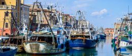 Permalink to: Regional Workshop for WOAH National Focal Points for Aquatic Animals. Chioggia (Italy), 18th-20th October 2023 Regional Workshop for WOAH National Focal Points for Aquatic Animals. Chioggia (Italy), 18th-20th October 2023