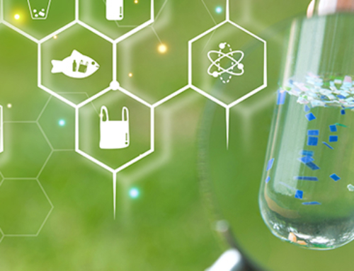 What do we know about microplastics in food? [Video]