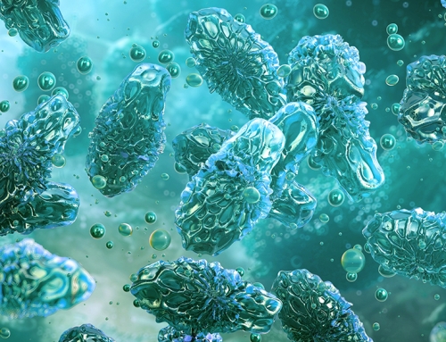 Botulinum toxin: a newly identified role in facilitating severe intestinal infections