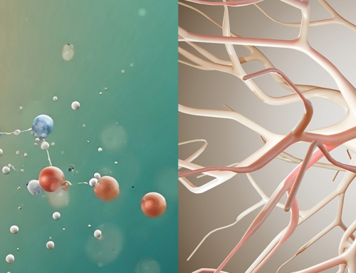 Experimental study shows the potential effects of short-chain PFAS on neurodevelopment